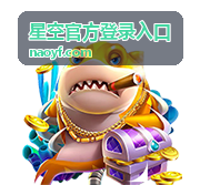 星空官方登录入口 安全加密服务